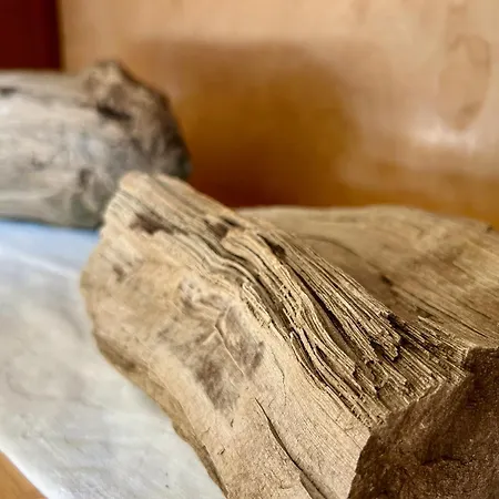 Stadtforst Halle * Halle (Saale)